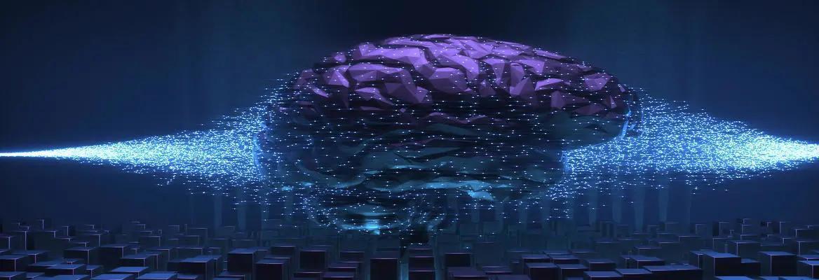 Neuralink and Risks of Human AI Symbiosis Neuralink and Risks of Human AI Symbiosis