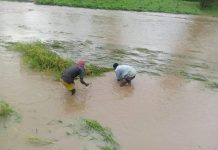 Climate Shocks Prompt New Push for Farmers’ Insurance Climate Shocks Prompt New Push for Farmers' Insurance