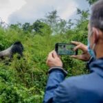 Promotional rates for gorilla trekking extended Promotional rates for gorilla trekking extended
