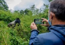 Promotional rates for gorilla trekking extended Promotional rates for gorilla trekking extended