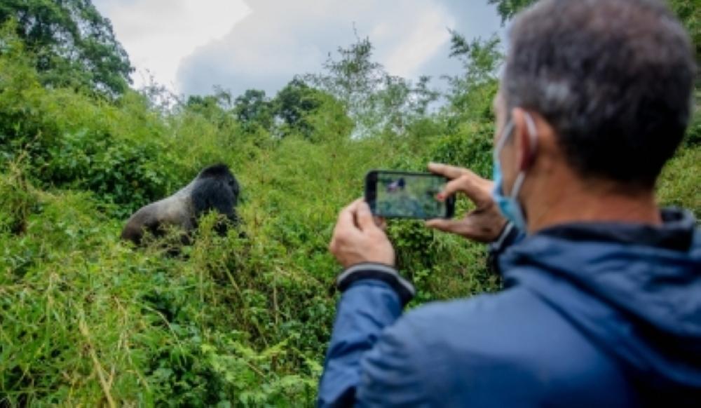 Promotional rates for gorilla trekking extended Promotional rates for gorilla trekking extended