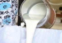 Milk Production Set to Increase 135% by 2029 Milk Production Set to Increase 135% by 2029