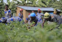 What proposed EjoHeza reforms mean for informal workers What proposed EjoHeza reforms mean for informal workers