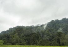 Rwanda Singapore Call for Carbon Market Proposals Rwanda Singapore Call for Carbon Market Proposals