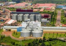 Mining, energy costs push producer prices 4.6% up Mining, energy costs push producer prices 4.6% up