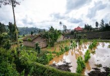 Western Province to get highest rainfall in February Western Province to get highest rainfall in February