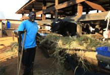 Key Initiatives from Umushyikirano Over Two Decades Key Initiatives from Umushyikirano Over Two Decades