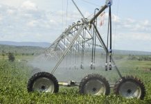 How Umushyikirano drives accountability and delivers impact How Umushyikirano drives accountability and delivers impact