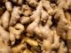 Effects of Daily Ginger Consumption on Your Body Effects of Daily Ginger Consumption on Your Body