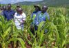 Dealers of Fake Seeds Face Jail Under New Agric Bill Dealers of Fake Seeds Face Jail Under New Agric Bill