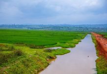 Reallocating Idle State-Owned Land Requires Caution Reallocating Idle State-Owned Land Requires Caution