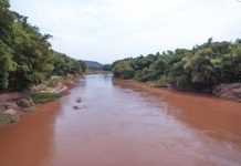 Rwanda’s Erosion Control Shields Nile Basin Rivers Rwanda’s Erosion Control Shields Nile Basin Rivers