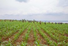 New bill sets stage for modern, market-led farming New bill sets stage for modern, market-led farming