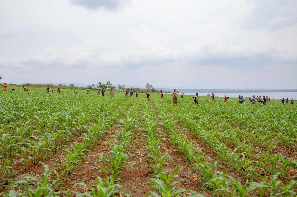 New bill sets stage for modern, market-led farming New bill sets stage for modern, market-led farming