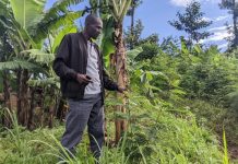 Vox pop: What Mutuelle de Santé means to ordinary Rwandans Vox pop: What Mutuelle de Santé means to ordinary Rwandans