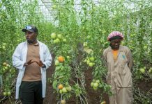 Major Resilience Project Benefits North-West Rwanda Communities Major Resilience Project Benefits North-West Rwanda Communities