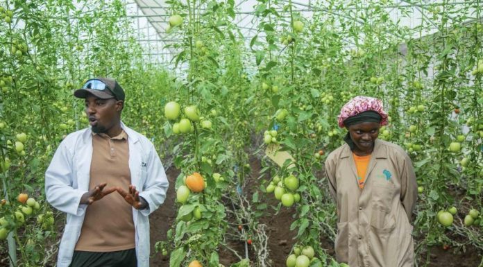 Major Resilience Project Benefits North-West Rwanda Communities Major Resilience Project Benefits North-West Rwanda Communities