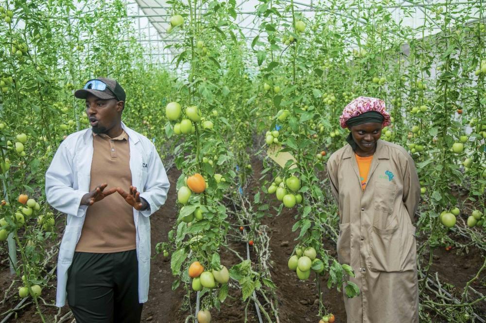 Major Resilience Project Benefits North-West Rwanda Communities Major Resilience Project Benefits North-West Rwanda Communities