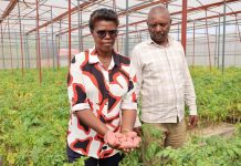 CDAT Project Empowers Smallholder Farmers as Investors CDAT Project Empowers Smallholder Farmers as Investors