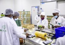 Cold Solutions Rwanda Facility Aims to Reduce Food Losses Cold Solutions Rwanda Facility Aims to Reduce Food Losses