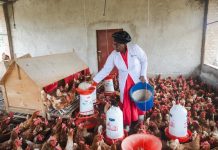 Agric Minister Discusses Efforts to Curb Animal Feed Prices Agric Minister Discusses Efforts to Curb Animal Feed Prices