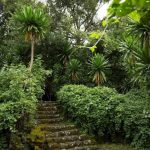 Musanze Unveils Rwf100bn Tourism Development Plan Musanze Unveils Rwf100bn Tourism Development Plan