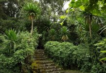 Musanze Unveils Rwf100bn Tourism Development Plan Musanze Unveils Rwf100bn Tourism Development Plan