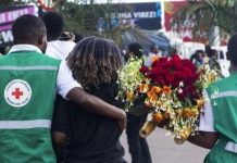 Climbing Memory and Living Monument for Remembrance Climbing Memory and Living Monument for Remembrance