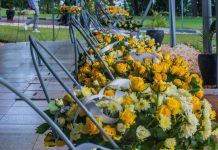 Rwanda’s Journey From Genocide to Renewal Rwanda's Journey From Genocide to Renewal