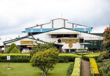 Genocide Survivors Rebuilding Through Company Work Genocide Survivors Rebuilding Through Company Work