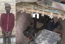 Survivors’ Tips Unmask Long-Hidden Genocide Perpetrators Survivors’ Tips Unmask Long-Hidden Genocide Perpetrators