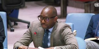 No peace without FDLR neutralization No peace without FDLR neutralization