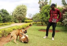 Veterinarians Urge Stronger Services for Dogs Veterinarians Urge Stronger Services for Dogs