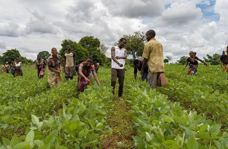 Rwanda Seeks over $14 Billion to Modernize Agriculture Rwanda Seeks over $14 Billion to Modernize Agriculture