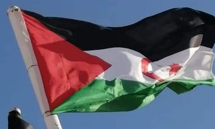 وزيرة خارجية السويد : الصحراء الغربية قضية تصفية استعمار، والمجتمع الدولي لا يعترف بمزاعم المغرب ، وسنتصل بادارة بايدن للتاكيد على اهمية الالتزام بالقانون الدولي. وزيرة خارجية السويد : الصحراء الغربية قضية تصفية استعمار، والمجتمع الدولي لا يعترف بمزاعم المغرب ، وسنتصل بادارة بايدن للتاكيد على اهمية الالتزام بالقانون الدولي.