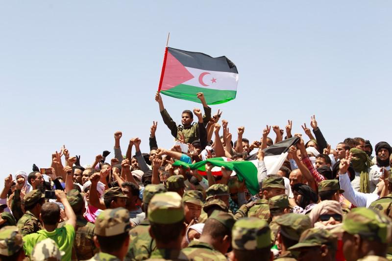 المعهد الملكي للشؤون الدولية : المكانة الدولية للبوليساريو كممثل شرعي للشعب الصحراوي تمنع ملك الغرب من المغامرة بشن حرب شاملة في الصحراء الغربية المعهد الملكي للشؤون الدولية : المكانة الدولية للبوليساريو كممثل شرعي للشعب الصحراوي تمنع ملك الغرب من المغامرة بشن حرب شاملة في الصحراء الغربية
