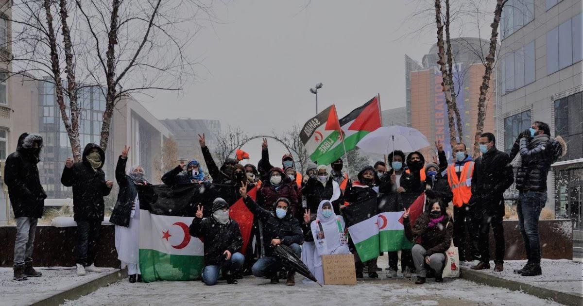 التنسيقية الأوروبية لدعم الشعب الصحراوي تتدارس سبل تنسيق العمل مع مختلف حركات التضامن مع القضية الوطنية التنسيقية الأوروبية لدعم الشعب الصحراوي تتدارس سبل تنسيق العمل مع مختلف حركات التضامن مع القضية الوطنية