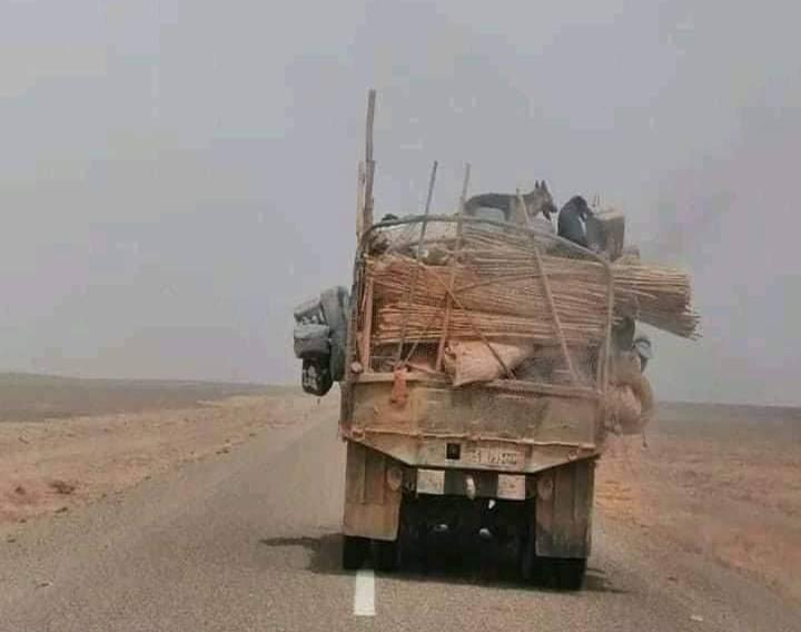 جنود الاحتلال المغربي يفرون إلى الوراء بفعل القصف المتواصل والمركز من قبل جيش التحرير الشعبي الصحراوي جنود الاحتلال المغربي يفرون إلى الوراء بفعل القصف المتواصل والمركز من قبل جيش التحرير الشعبي الصحراوي