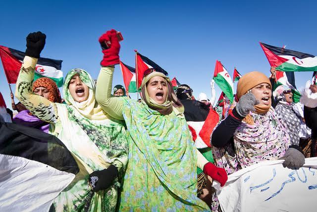 لجنة الدفاع عن حق تقرير مصير شعب الصحراء الغربية تندد بالإهمال الطبي المتعمد في حق المدنيين الصحراويين بالمناطق المحتلة لجنة الدفاع عن حق تقرير مصير شعب الصحراء الغربية تندد بالإهمال الطبي المتعمد في حق المدنيين الصحراويين بالمناطق المحتلة