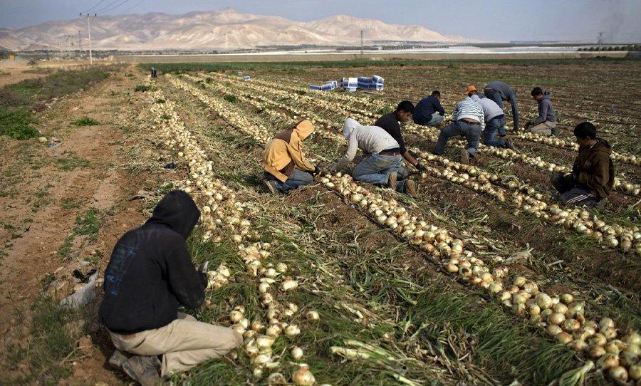 اسبانيا: مزارعون لصالح تنفيذ الحكم الأوروبي حول اتفاقيات الزراعة والصيد وأحزاب قومية تبدي دعمها للبوليساريو اسبانيا: مزارعون لصالح تنفيذ الحكم الأوروبي حول اتفاقيات الزراعة والصيد وأحزاب قومية تبدي دعمها للبوليساريو
