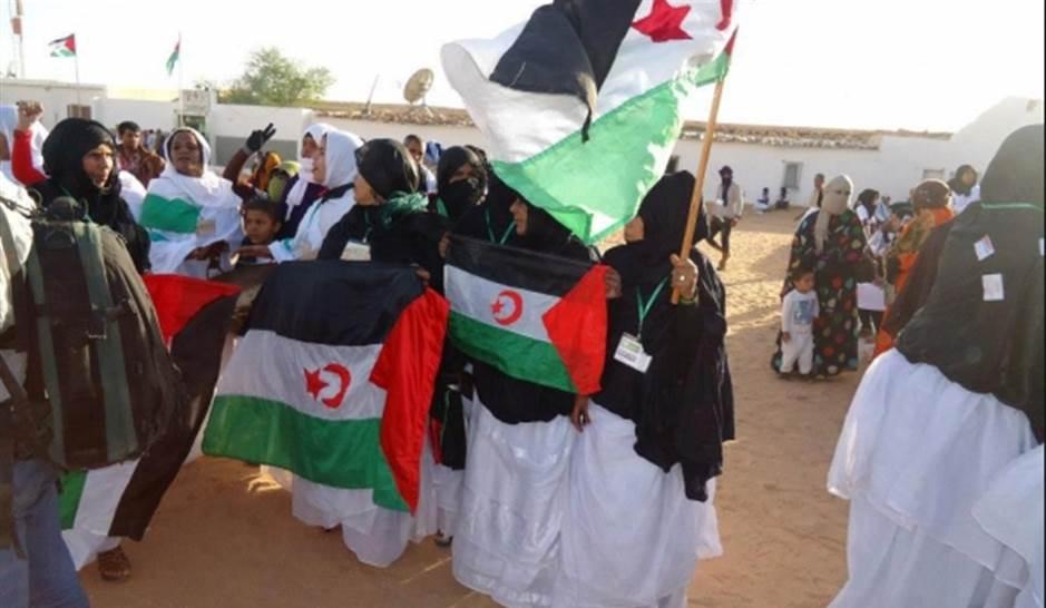 توافد مئات الأجانب على مخيمات اللاجئين الصحراويين للمشاركة في تخليد الذكرى 46 للوحدة الوطنية (12 أكتوبر) توافد مئات الأجانب على مخيمات اللاجئين الصحراويين للمشاركة في تخليد الذكرى 46 للوحدة الوطنية (12 أكتوبر)