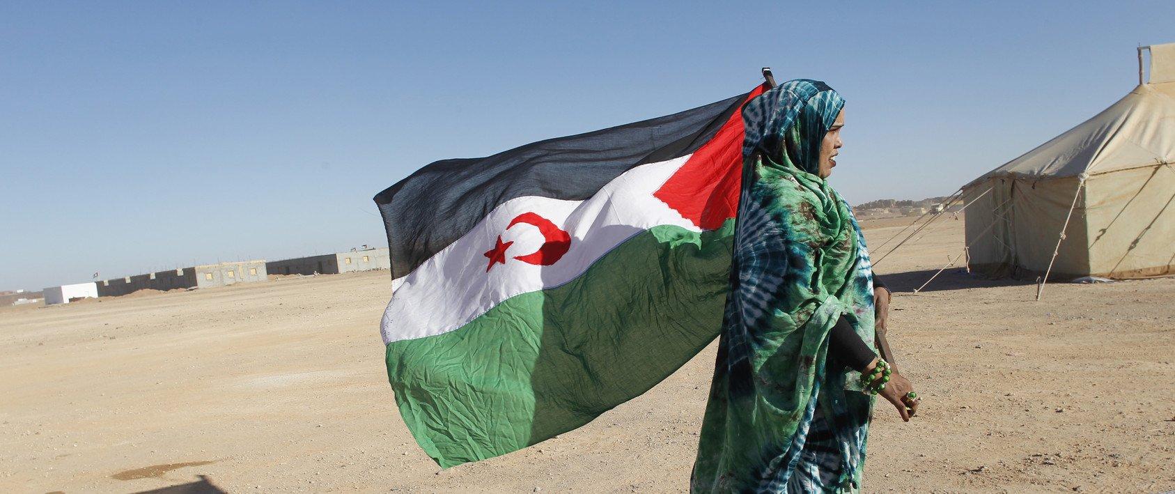 فرنسا: دعوى قضائية لمنع استيراد المنتجات الفلاحية المنهوبة من الصحراء الغربية
