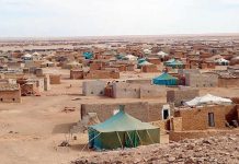 تحذيرات من استمرار الانتهاكات في الصحراء الغربية الجزائر: استقبال اللاجئين في مخيمات تندوف كان بسبب احتلال المغرب للصحراء الغربية
