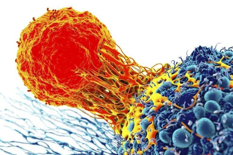 قفزة في تطوير علاج السرطان.. باحثون ينجحون في علاج أورام صلبة