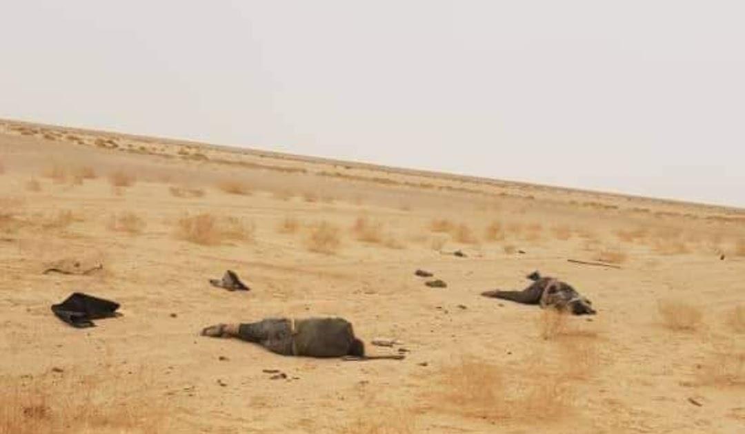 إدانة واسعة في موريتانيا للارهاب المغربي| صحفيين و نشطاء موريتانيين يدينون قتل مواطنيهم على على الحدود مع الصحراء الغربية