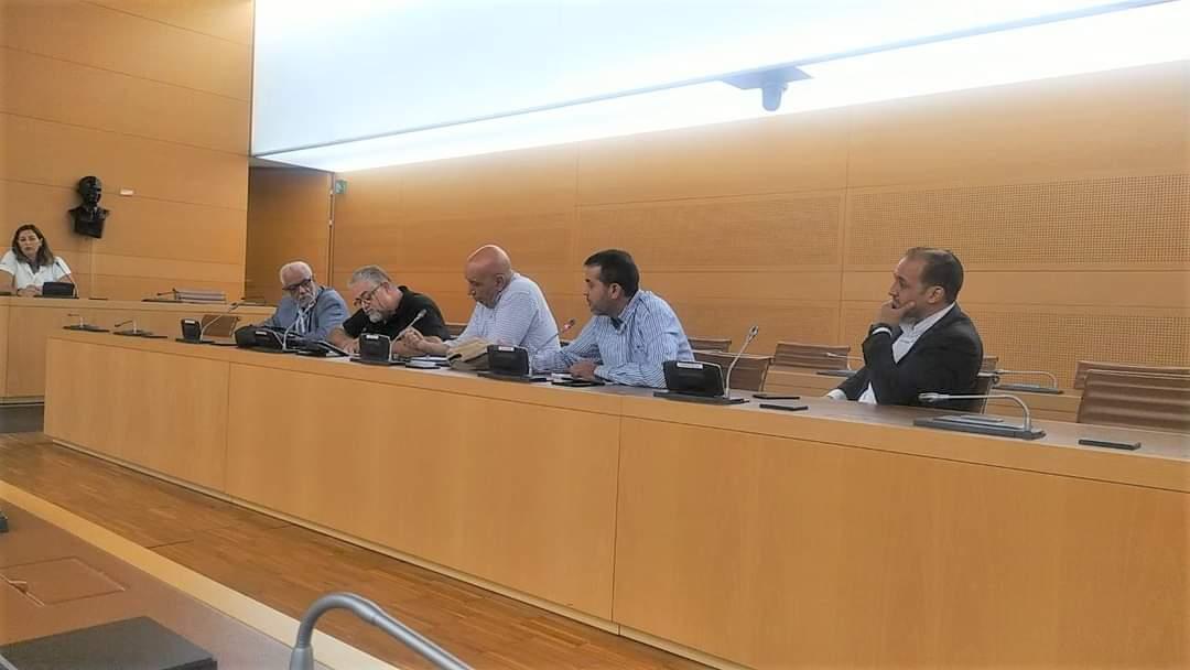 مجلس الحكومة المحلية لمقاطعة جزيرة تنيريفي الكنارية يتبنى توصية لفائدة القضية الصحراوية مجلس الحكومة المحلية لمقاطعة جزيرة تنيريفي الكنارية يتبنى توصية لفائدة القضية الصحراوية