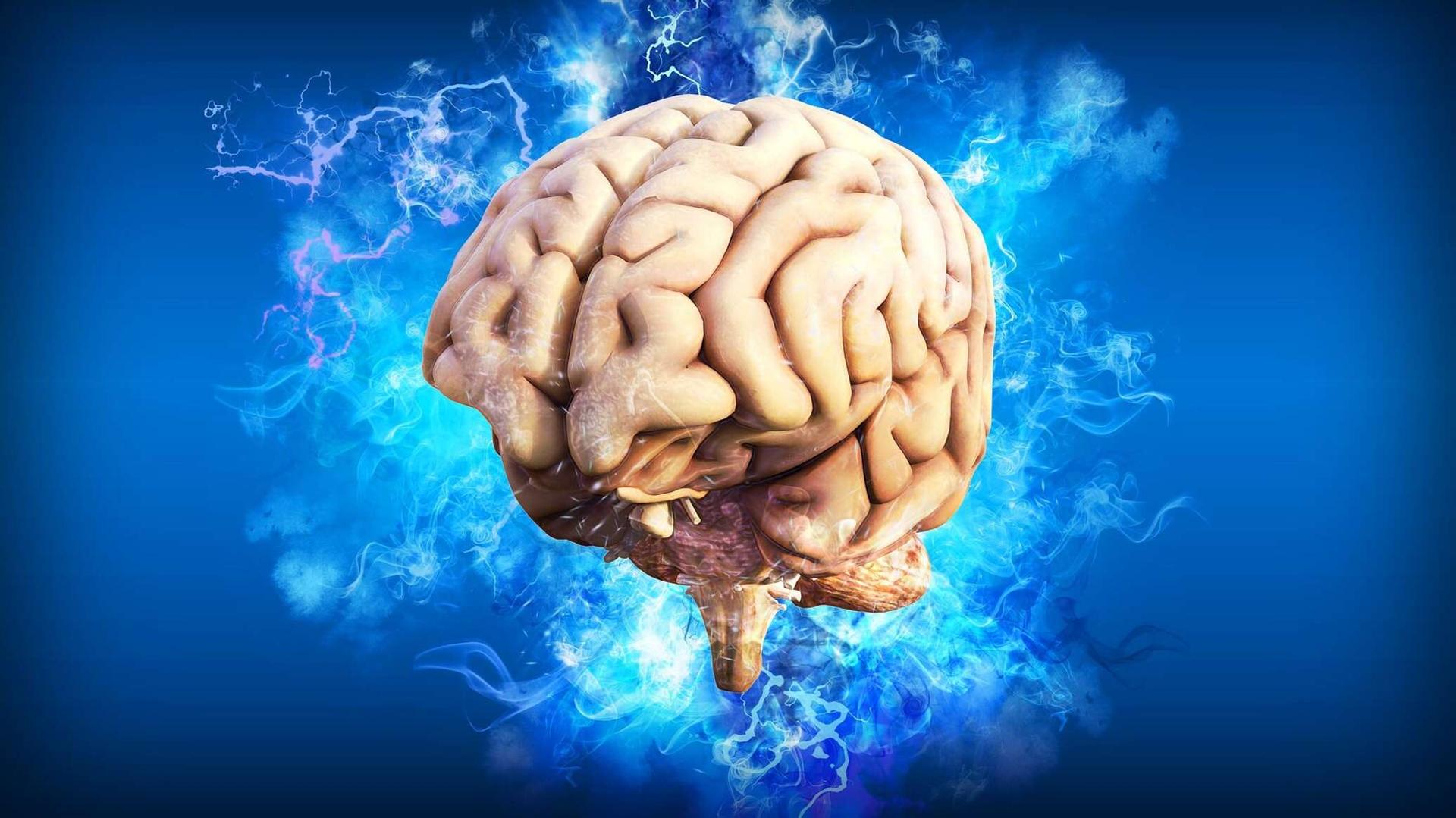 دراسة تنصحك بإجراء 6 تغييرات في نمط حياتك لحماية ذاكرتك دراسة تنصحك بإجراء 6 تغييرات في نمط حياتك لحماية ذاكرتك