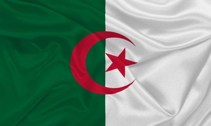 لماذا خصصت الجزائر مليار دولار لتمويل المشاريع في إفريقيا؟