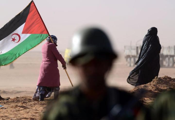 لوموند: الاتحاد الأوروبي يمول احتلال الصحراء الغربية عبر استغلال ثرواتها