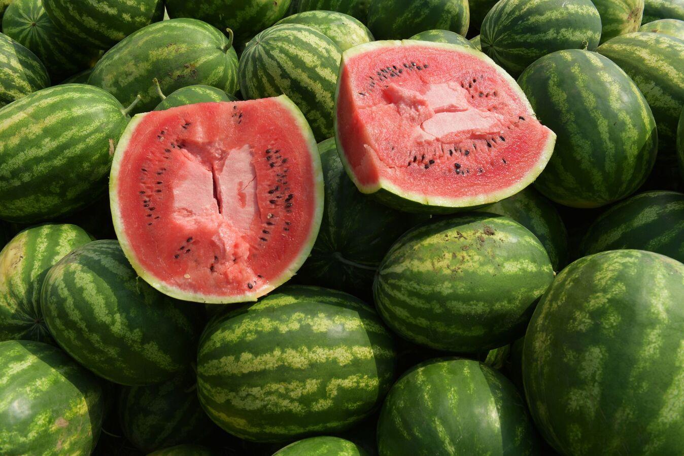 خبراء يتوصلون لإجابات قاطعة... 5 طرق لاختيار البطيخ الجيد خبراء يتوصلون لإجابات قاطعة... 5 طرق لاختيار البطيخ الجيد